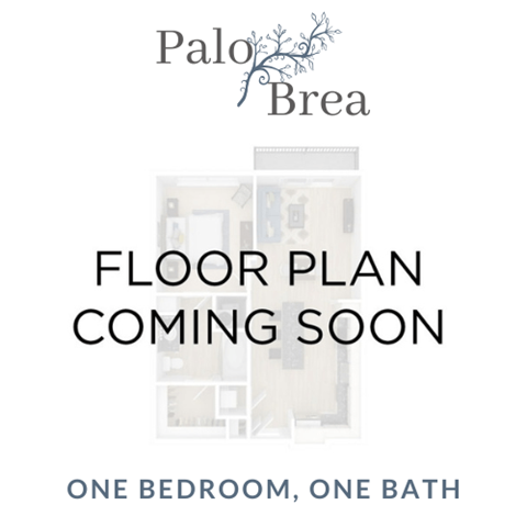 Floor plan for 1 bed, 1 bath